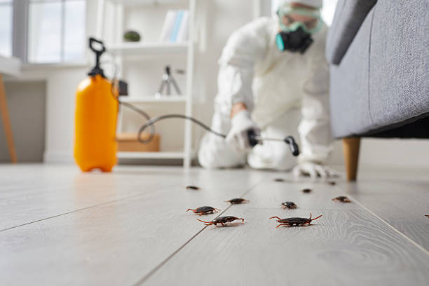 Affordable Cockroach Control solutions in Cabin John, MD